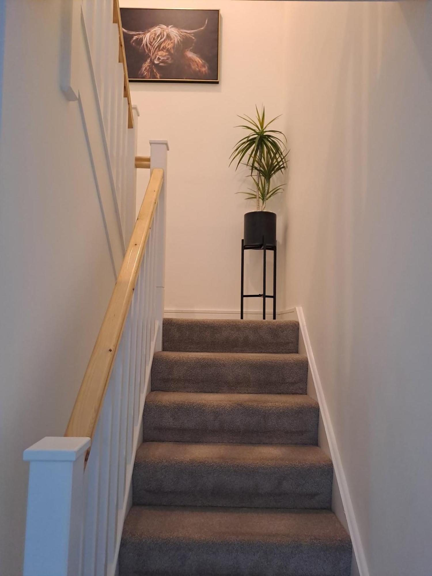 Cozy Bedroom In Lucan, Dublin Exterior foto